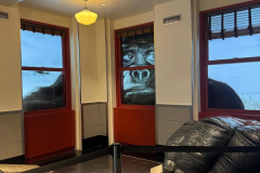 605873272_18083668310165247_2435895325517286693_n