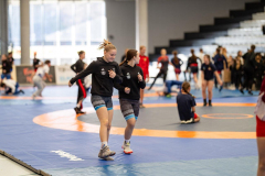 Velika-stavka-IMG_1908