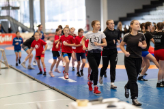 Velika-stavka-IMG_1915