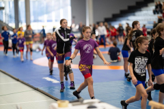 Velika-stavka-IMG_1924