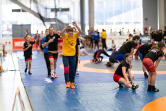 Velika-stavka-IMG_1937