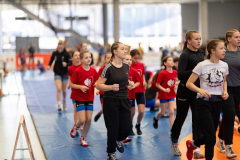 Velika-stavka-IMG_1944