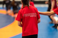 Velika-stavka-IMG_1947