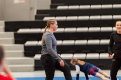 Velika-stavka-IMG_1951