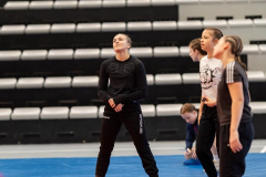 Velika-stavka-IMG_1954