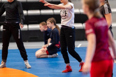 Velika-stavka-IMG_1959