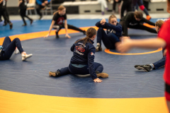 Velika-stavka-IMG_1960