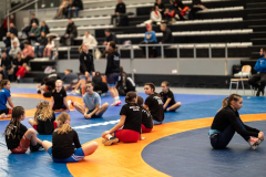 Velika-stavka-IMG_1962