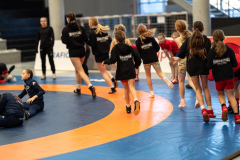 Velika-stavka-IMG_1965