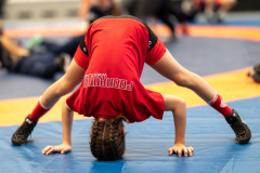 Velika-stavka-IMG_1975