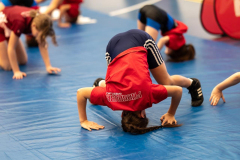 Velika-stavka-IMG_1985