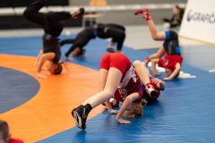 Velika-stavka-IMG_1986