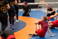 Velika-stavka-IMG_1988