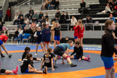 Velika-stavka-IMG_1992