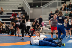 Velika-stavka-IMG_2003