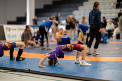 Velika-stavka-IMG_2005