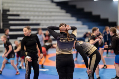 Velika-stavka-IMG_2015