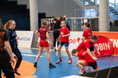 Velika-stavka-IMG_2017