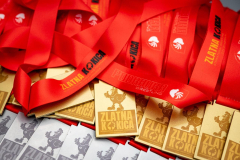 Velika-stavka-IMG_2028