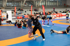 Velika-stavka-IMG_2084