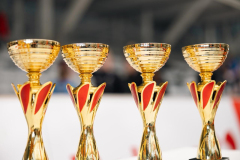 Velika-stavka-IMG_2108