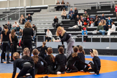 Velika-stavka-IMG_2111