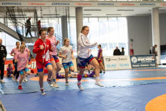 Velika-stavka-IMG_2120