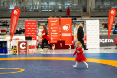 Velika-stavka-IMG_2148