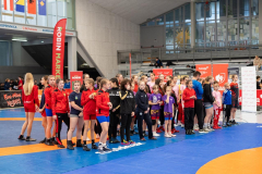 Velika-stavka-IMG_2157