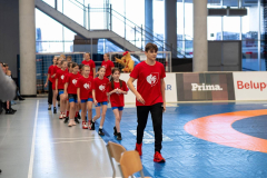 Velika-stavka-IMG_2166