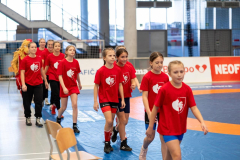 Velika-stavka-IMG_2172