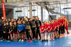 Velika-stavka-IMG_2202