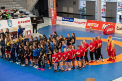 Velika-stavka-IMG_2218