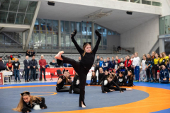 Velika-stavka-IMG_2262