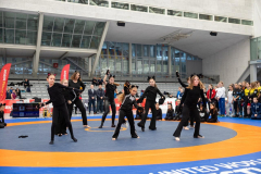 Velika-stavka-IMG_2263