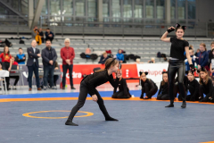 Velika-stavka-IMG_2271