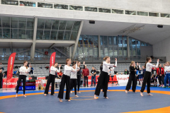 Velika-stavka-IMG_2288