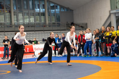 Velika-stavka-IMG_2293