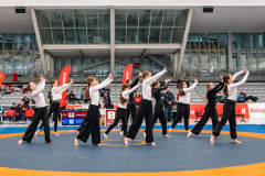 Velika-stavka-IMG_2299