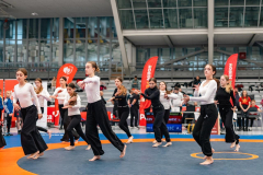 Velika-stavka-IMG_2303