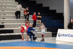 Velika-stavka-IMG_2329