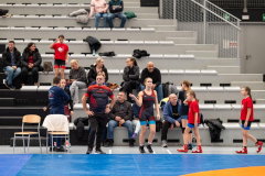 Velika-stavka-IMG_2330