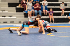 Velika-stavka-IMG_2343