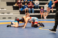 Velika-stavka-IMG_2344