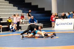 Velika-stavka-IMG_2359