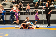 Velika-stavka-IMG_2360