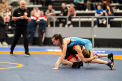 Velika-stavka-IMG_2375