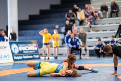 Velika-stavka-IMG_2387