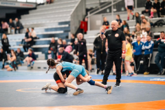 Velika-stavka-IMG_2402