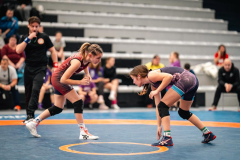 Velika-stavka-IMG_2406